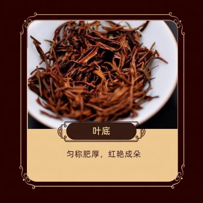 杭州特产红茶九曲红梅非遗传承茶叶源头工厂直发图4