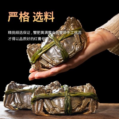 花雕大闸蟹6月黄800g6只批发熟醉蟹即食海鲜熟食生腌老卤大闸螃蟹图2