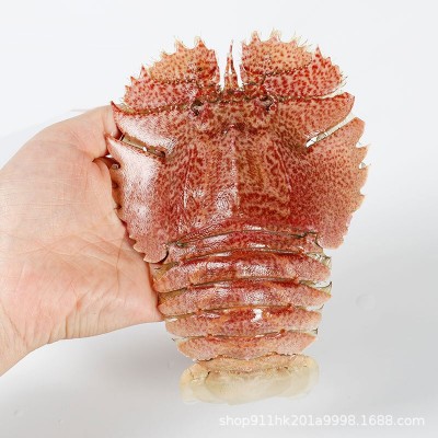Ⅰ新鲜琵琶虾皮皮虾虾姑野生鲜活海鲜日料食材批发捞汁虾商用生鲜图4