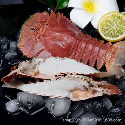 Ⅰ新鲜琵琶虾皮皮虾虾姑野生鲜活海鲜日料食材批发捞汁虾商用生鲜图1