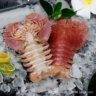Ⅰ新鲜琵琶虾皮皮虾虾姑野生鲜活海鲜日料食材批发捞汁虾商用生鲜图2