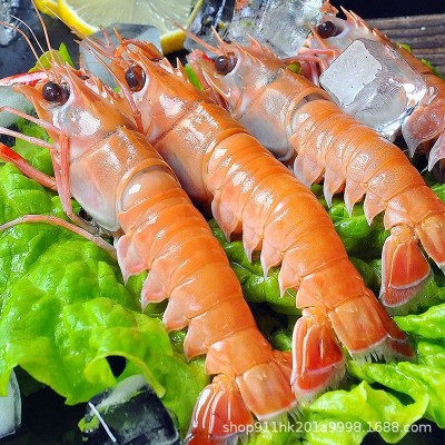 Ⅰ新鲜海鳌虾刺身虾鲜活批发海鲜厂家非新西兰国产商用甜虾 食材虾图4
