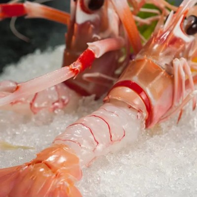 Ⅰ新鲜海鳌虾刺身虾鲜活批发海鲜厂家非新西兰国产商用甜虾 食材虾图3