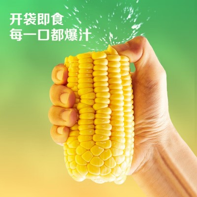 北纬47度水果鲜黑珍珠甜黄黑糯玉米低GI即食玉米粒礼盒团购批发图3