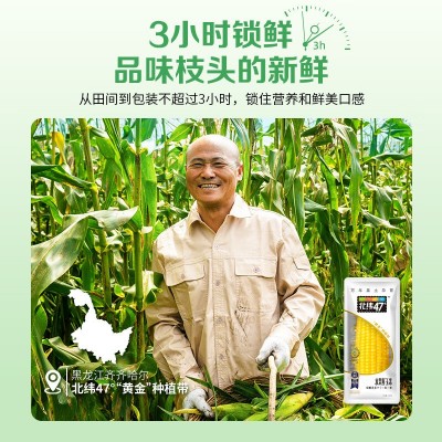 北纬47度水果鲜黑珍珠甜黄黑糯玉米低GI即食玉米粒礼盒团购批发图2