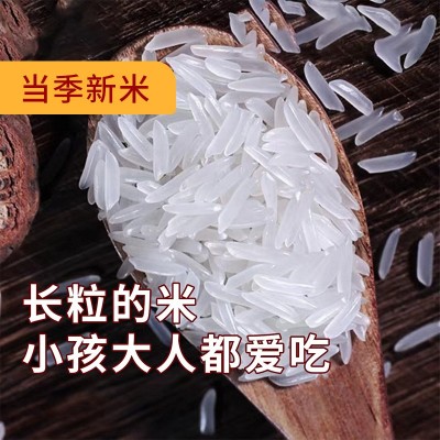 美运大米厂家批发代发5kg美运美人香米当季新米长粒香米好吃图2