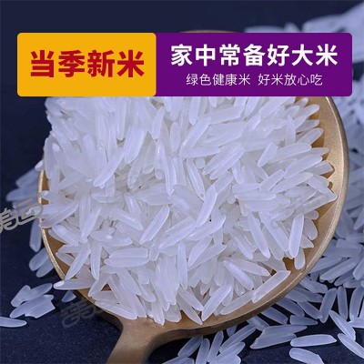 美运大米厂家批发代发5kg美运莉丝香米当季新米长粒香米好吃图2