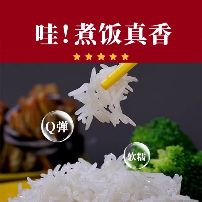 美运大米厂家批发代发5kg美运泰国香米当季新米长粒香米好吃图4