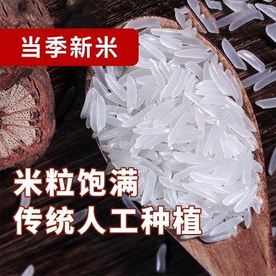 美运大米厂家批发代发5kg美运泰国香米当季新米长粒香米好吃图2
