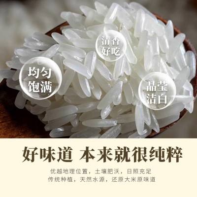 美运大米厂家批发代发5kg美运月芽米当季新米颗粒饱满家用米好吃图2