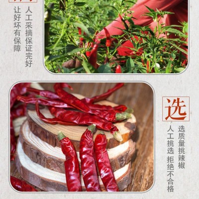 印度椒 辣椒 特辣产印度魔鬼批发 干辣椒 香辣朝天椒图4