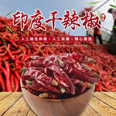 印度椒 辣椒 特辣产印度魔鬼批发 干辣椒 香辣朝天椒图2