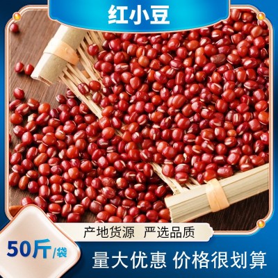 红豆 批发赤小豆 五谷杂粮红豆低温烘培 厂家供应图5