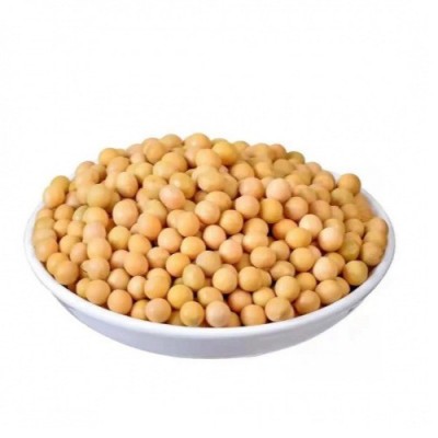 东北发豆芽的黄豆散装发黄豆芽豆黑龙江生豆牙小豆大黄豆
