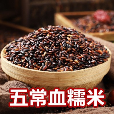 东北血糯米 当季新米粽子饭团软糯香甜500g 五谷杂粮 好吃粽子米图2