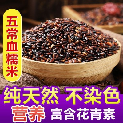 东北血糯米 当季新米粽子饭团软糯香甜500g 五谷杂粮 好吃粽子米图3