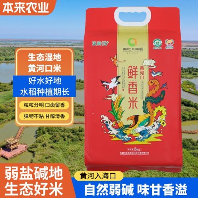 黄河口鲜香米 批发黄河口鲜香米 盐碱地大米团购随手礼