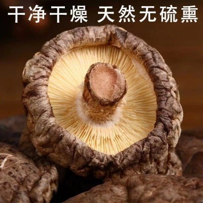 古田香菇干货250g袋装剪脚无根肉厚新鲜干香菇蘑菇食用菌厂家批发图3
