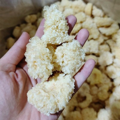 厂家批发椴木银耳不熏不掺不染银耳花白木耳易出胶质煲汤炖煮丑耳图2
