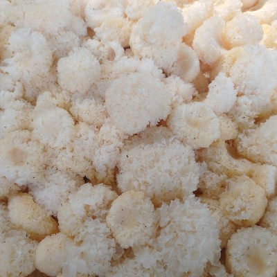 厂家批发椴木银耳不熏不掺不染银耳花白木耳易出胶质煲汤炖煮丑耳图3