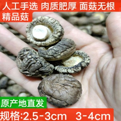 干香菇脱贫大别山剪脚无根肉厚小香菇干货冬菇特产新货批发产地直图3