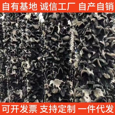 量大从优无熏硫黑木耳云耳南北干货农产品 秋木耳散货批发代发图2