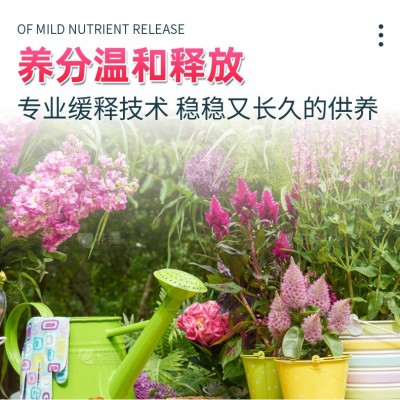 艾尚棵开花缓释营养棒园艺绿植盆栽花卉月季兰花君子兰栀子花绣球图2