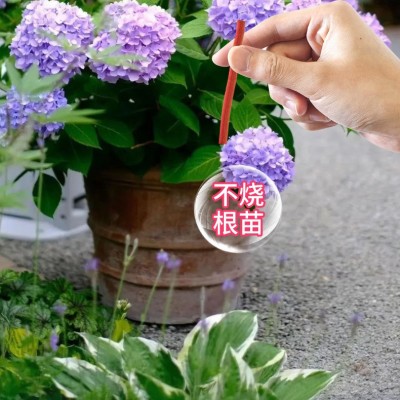 艾尚棵开花缓释营养棒园艺绿植盆栽花卉月季兰花君子兰栀子花绣球图4