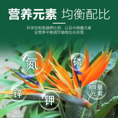 艾尚棵天堂鸟专用肥缓释有机肥土培大盆栽花卉好养活家用园艺花肥图4