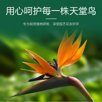 艾尚棵天堂鸟专用肥缓释有机肥土培大盆栽花卉好养活家用园艺花肥图3