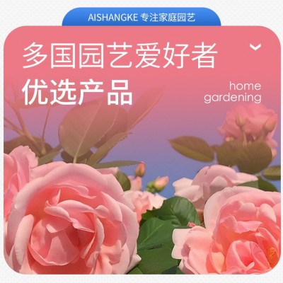艾尚棵鲜花泡腾片消毒片保鲜剂二氧化氯水培绿植专用保鲜片醒花片图3