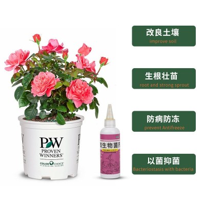 微生物菌剂有机肥花卉绿植物通用枯草芽孢杆菌预防板结土壤活化宝图4