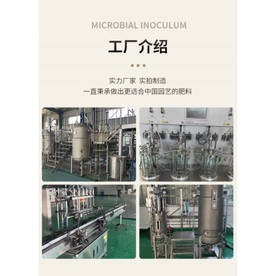 兰灵王兰花营养液525ml/瓶兰花君子兰肥料生根催芽EM菌液微生物菌图4