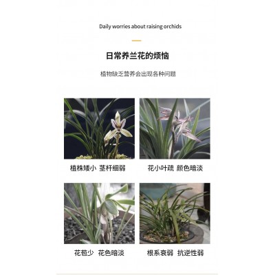 兰灵王兰花营养液525ml/瓶兰花君子兰肥料生根催芽EM菌液微生物菌图2