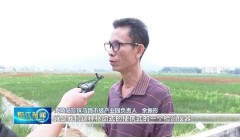 海陵珍珠马蹄市级现代农业产业园：探索“数字农业” 打造智慧生态农场