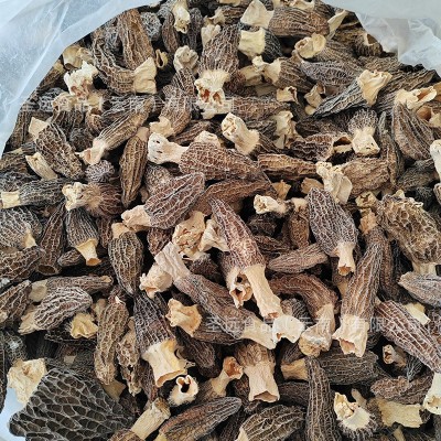 云南土特产羊肚菌干货散装大货批发厂家直批新货煲汤干蘑菇羊肚菌图2