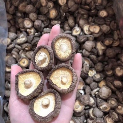 特产香菇干货厂家批发直销小香菇菌汤包批发代生产食用菌批发图3