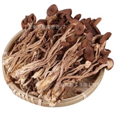 云南茶树菇干货批发 茶树菇原产地厂家直销批发干茶树菇散装袋装图5