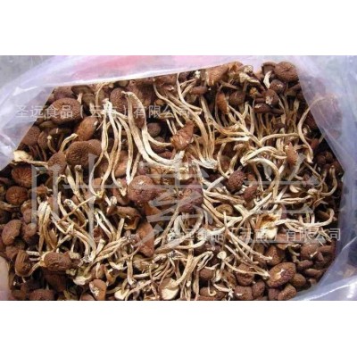 云南茶树菇干货批发 茶树菇原产地厂家直销批发干茶树菇散装袋装图2