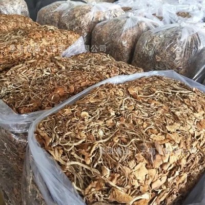 云南茶树菇干货批发 茶树菇原产地厂家直销批发干茶树菇散装袋装图3