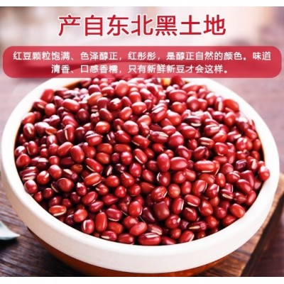 厂家直供零售农家自产红小豆东北红豆五谷杂粮红豆沙豆馅3斤小豆图3