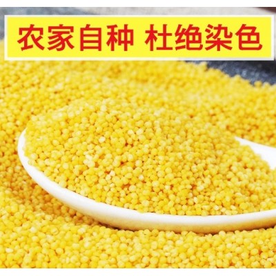 厂家直供零售新粮东北黄小米优质小米农家月子米五谷杂粮粥米5斤图3