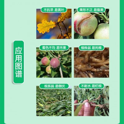 海藻鱼蛋白水溶肥冲施肥生根壮苗果树蔬菜农用高钙高钾桶装冲施肥图2