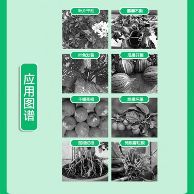 水溶肥冲施肥桶装包邮高钾高钙农用生根壮苗膨果肥甲壳素海藻精钾图3