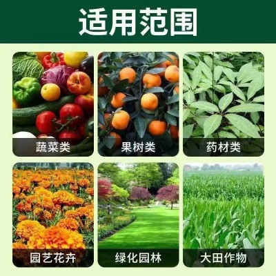氨基酸原液水溶肥叶面肥厂家直销柑橘葡萄果蔬生根壮苗膨 果着色肥图3