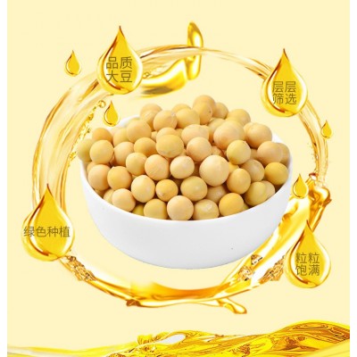 萱香非转基因大豆油2.7升食用植物油家用烹饪炒菜大桶厂家批发图3