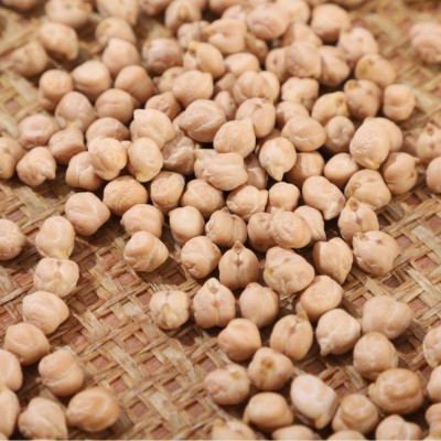 厂家批发大鹰嘴豆生豆散装生50斤一袋豆类新货五谷杂粮粗粮图3
