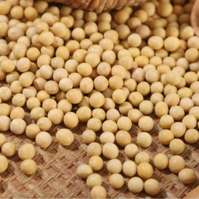 大量批发东北黄豆50斤做豆腐打豆浆专用大豆豆子散装非转基因豆类图3