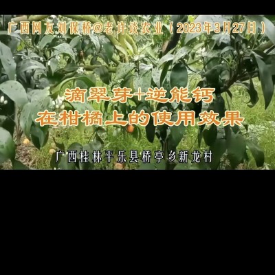 果树保花保果叶面肥促进花芽分化滴翠芽 花果蔬菜有机水溶肥图5