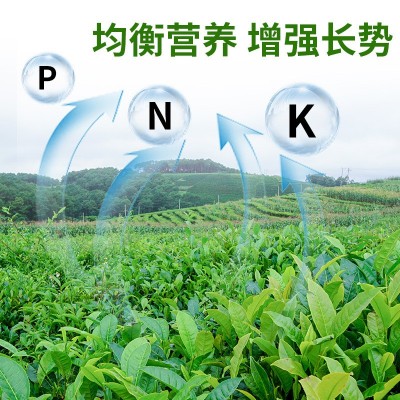 直销大量元素水溶肥功能肥叶面肥冲施肥高氮高钾型肥料图3